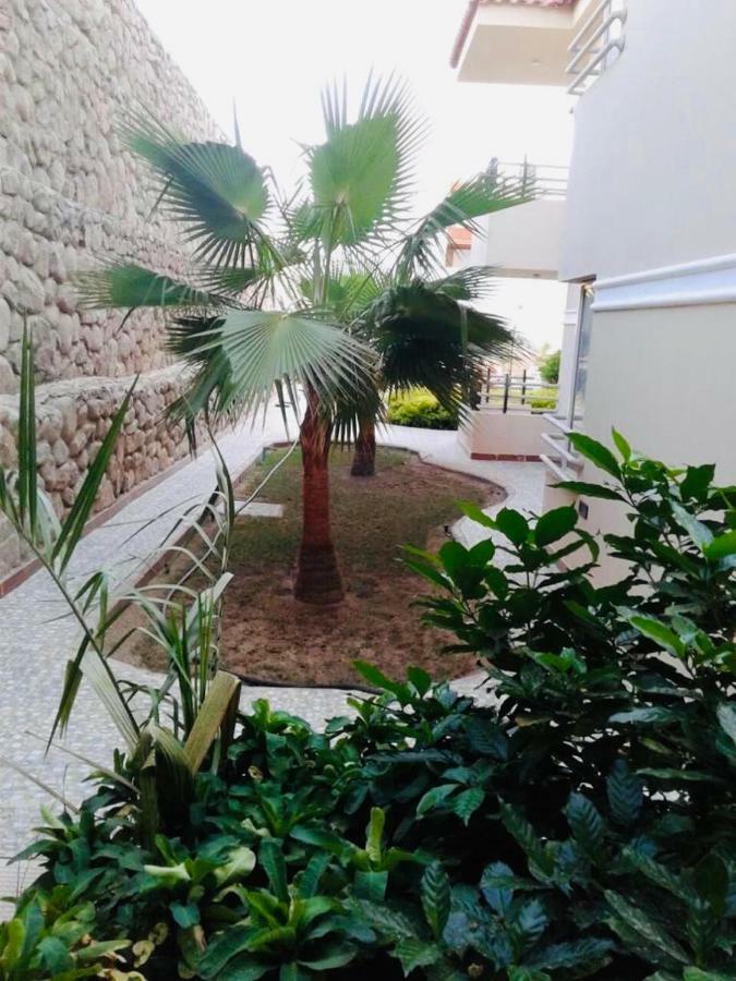 The Mo Place El Montaza Σαρμ Ελ Σέιχ Εξωτερικό φωτογραφία